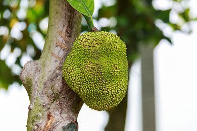 《使命召唤：战区》玩家发现Steam版性能不如战网版